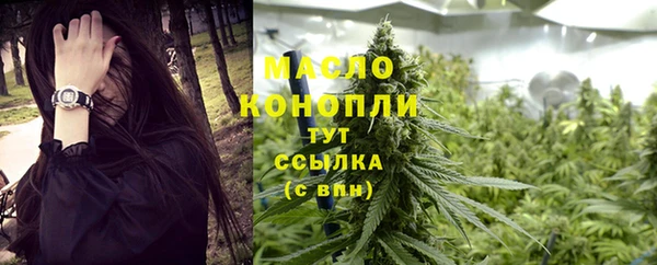 крисы Осинники