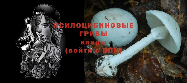 первитин Алексин