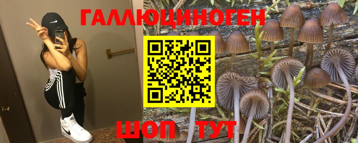 Галлюциногенные грибы Psilocybine cubensis  Псилоцибиновые грибы ЛСД  Чапаевск  Вход с VPN 